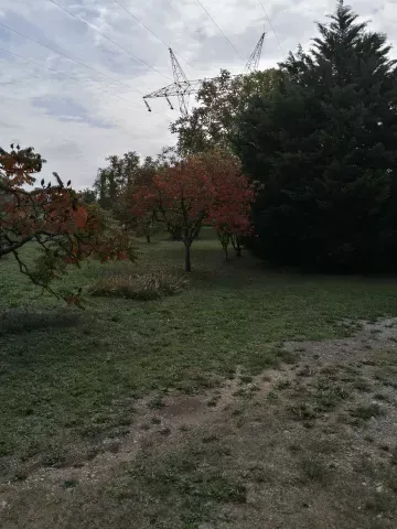 automne antre des vices