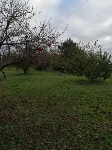 automne antre des vices