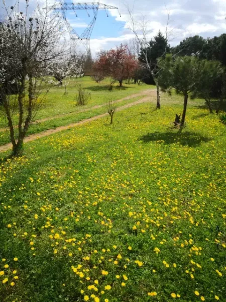 printemps antre des vices