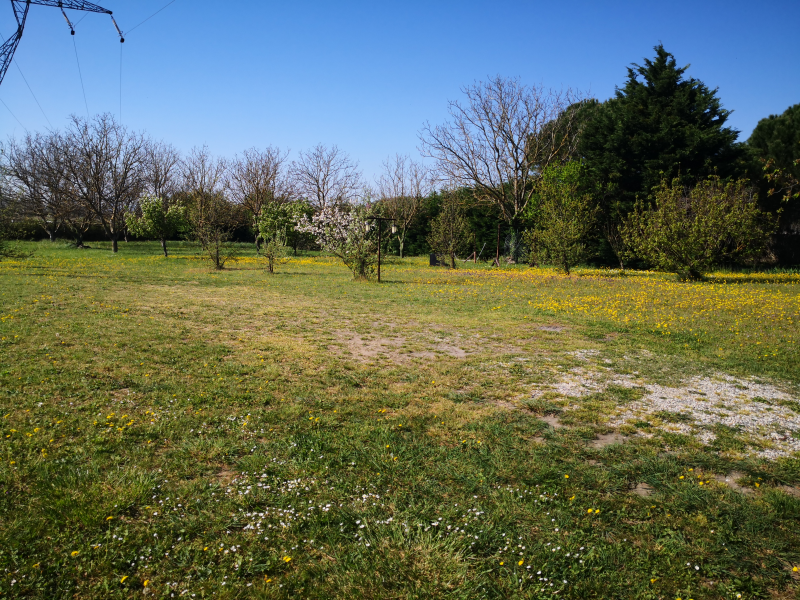 printemps antre des vices